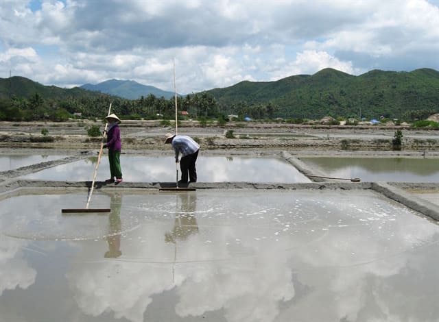 Các quy trình sản xuất muối biển